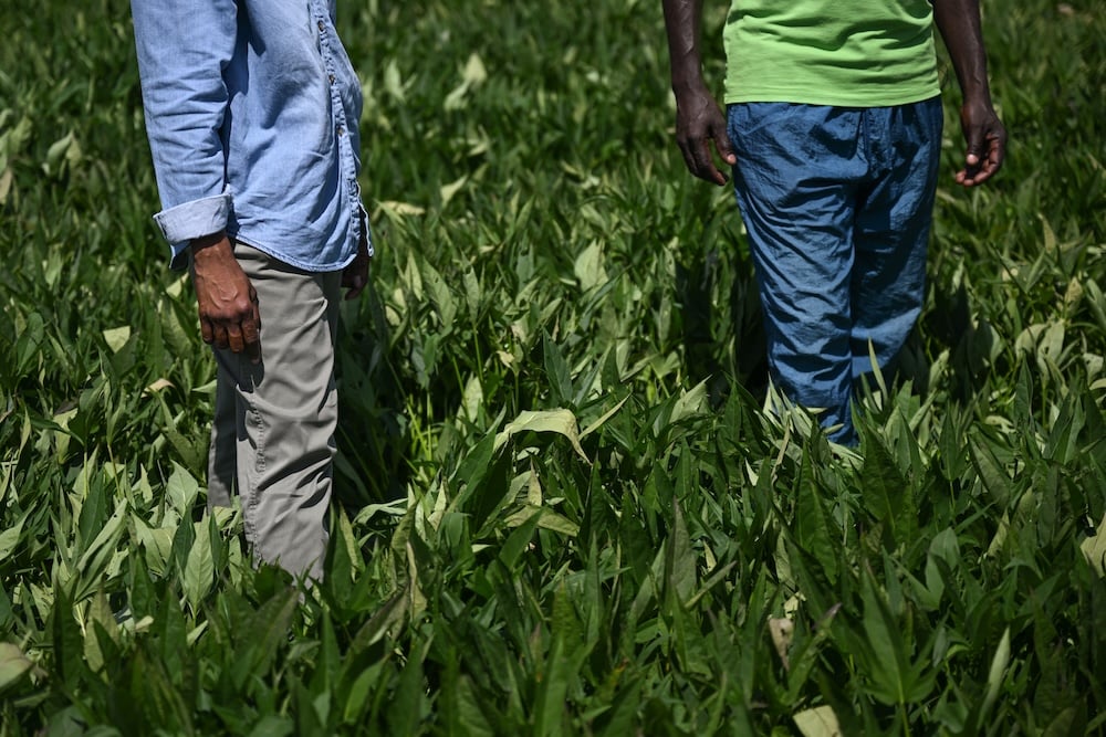 250409 fff madziwa 105