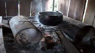mq1 (4)
